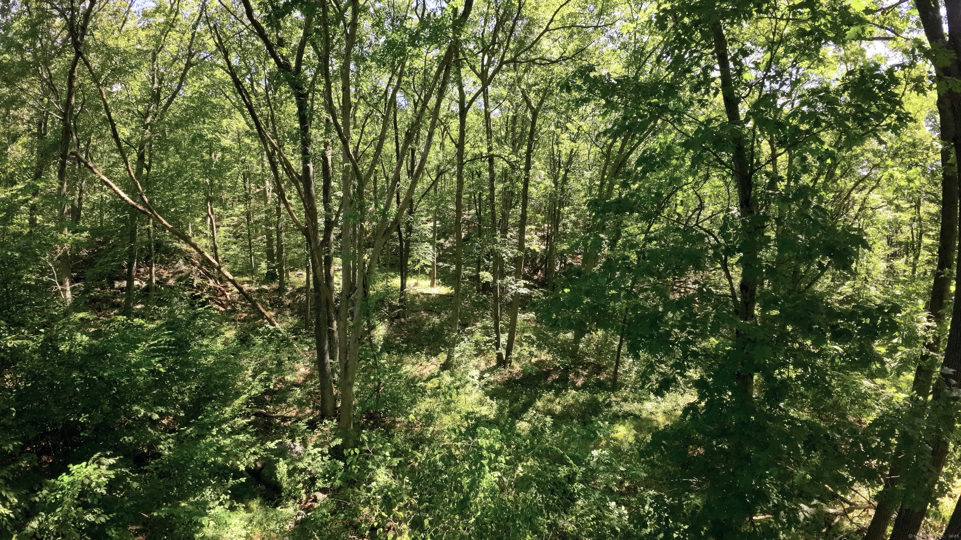 Undisclosed Address Bethel, CT 06801 - Photo 8 of 13 a view of a lush green forest