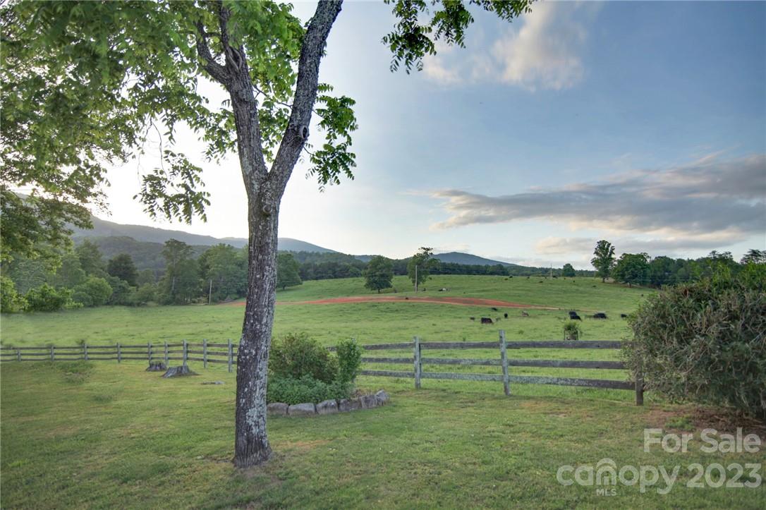 7100 Highway 108 Mill Spring, NC 28756 - Photo 14 of 48 a view of a field with a tree