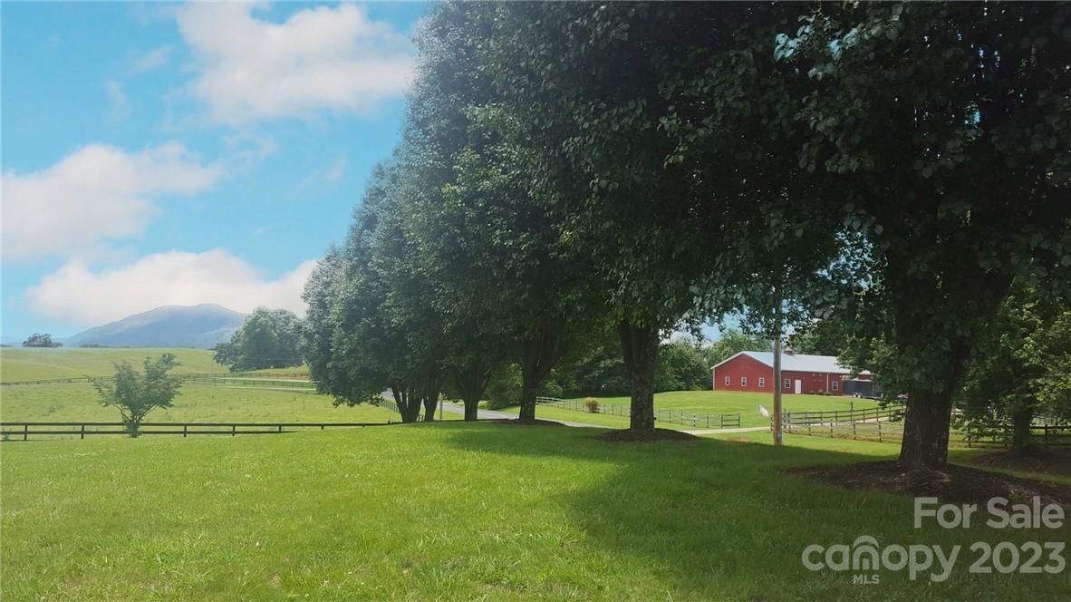 7100 Highway 108 Mill Spring, NC 28756 - Photo 17 of 48 a view of a park with large trees