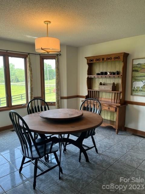 7100 Highway 108 Mill Spring, NC 28756 - Photo 19 of 48 a view of a dining room with furniture window and outside view