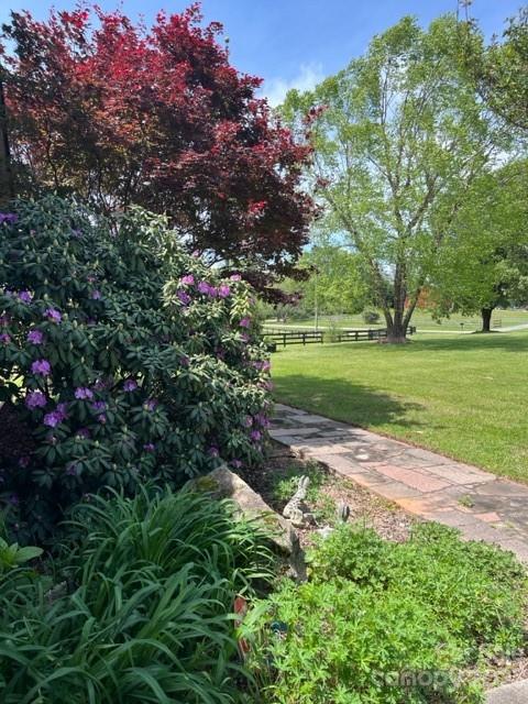 7100 Highway 108 Mill Spring, NC 28756 - Photo 5 of 48 a view of a park with large trees