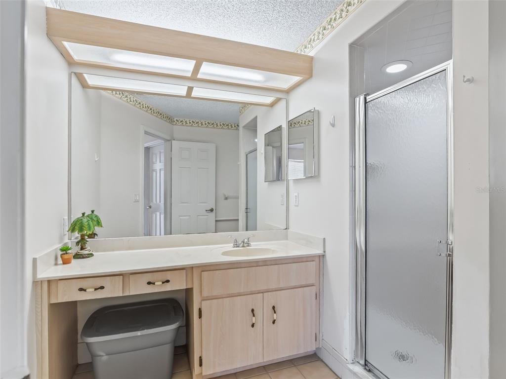 8850 Southwest 116th Place Road Ocala, FL 34481 - Photo 22 of 53 a room with a sink a vanity and a mirror