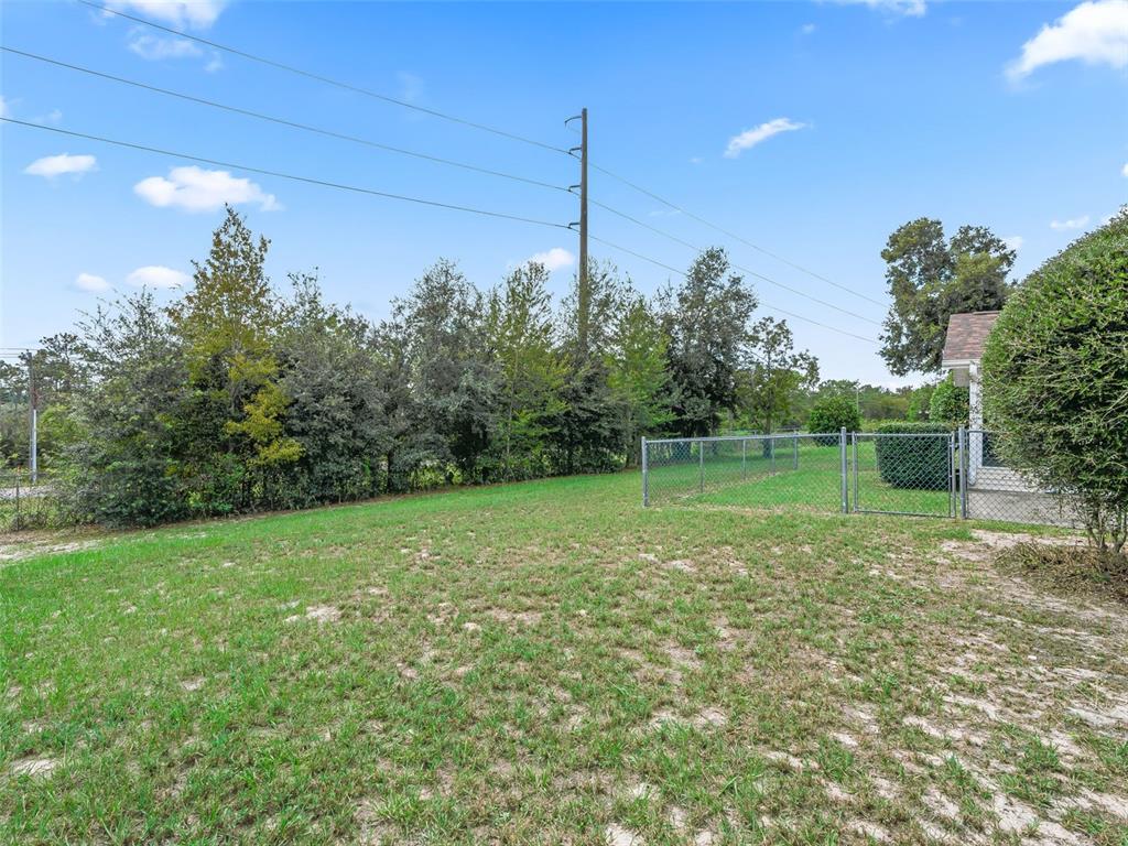 8850 Southwest 116th Place Road Ocala, FL 34481 - Photo 28 of 53 a view of a field with a tree in it