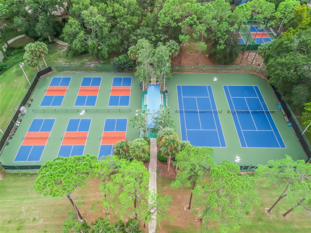 8850 Southwest 116th Place Road Ocala, FL 34481 - Photo 51 of 53 a view of backyard with outdoor space