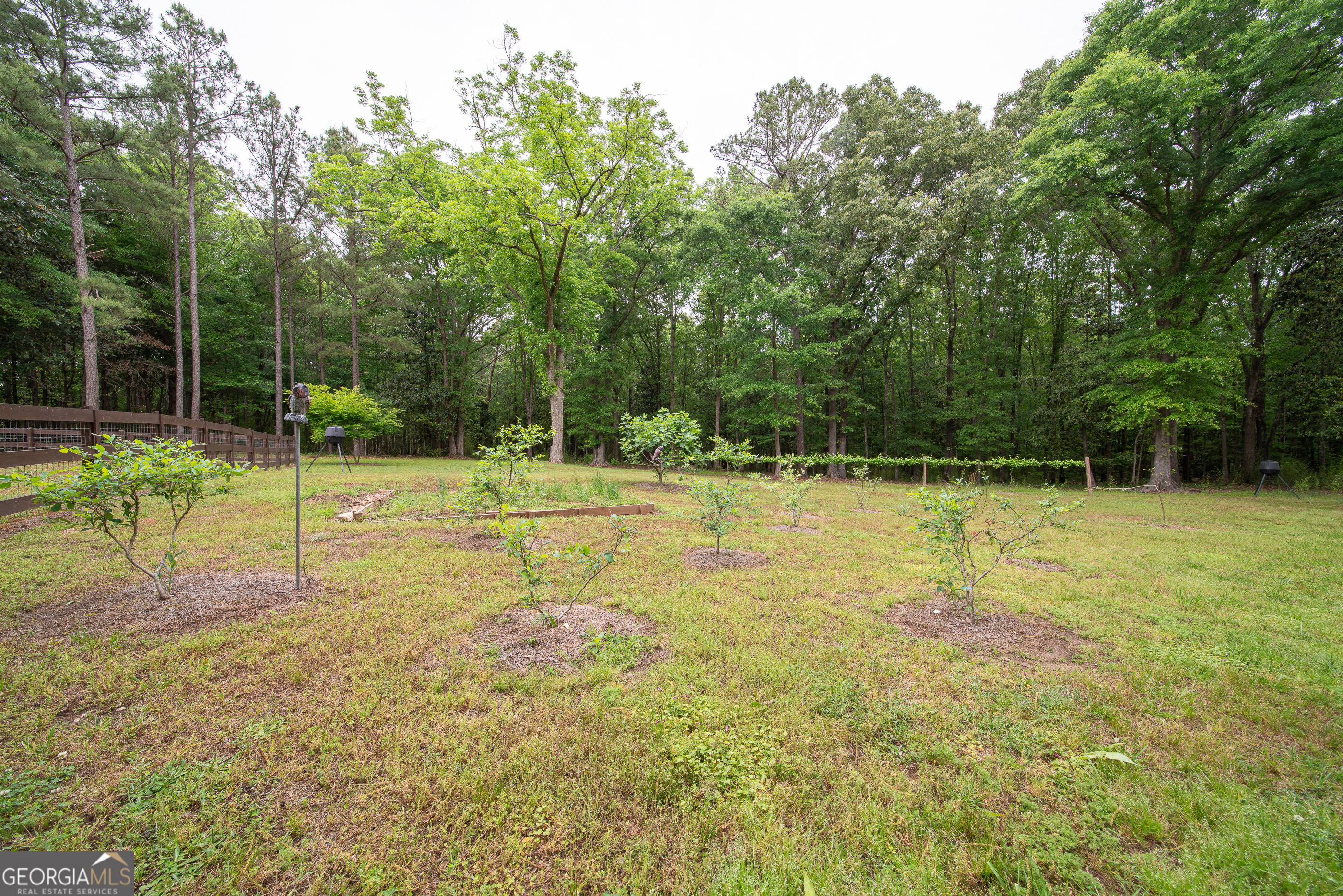 4200 Highway 85 Manchester, GA 31816 - Photo 52 of 58
