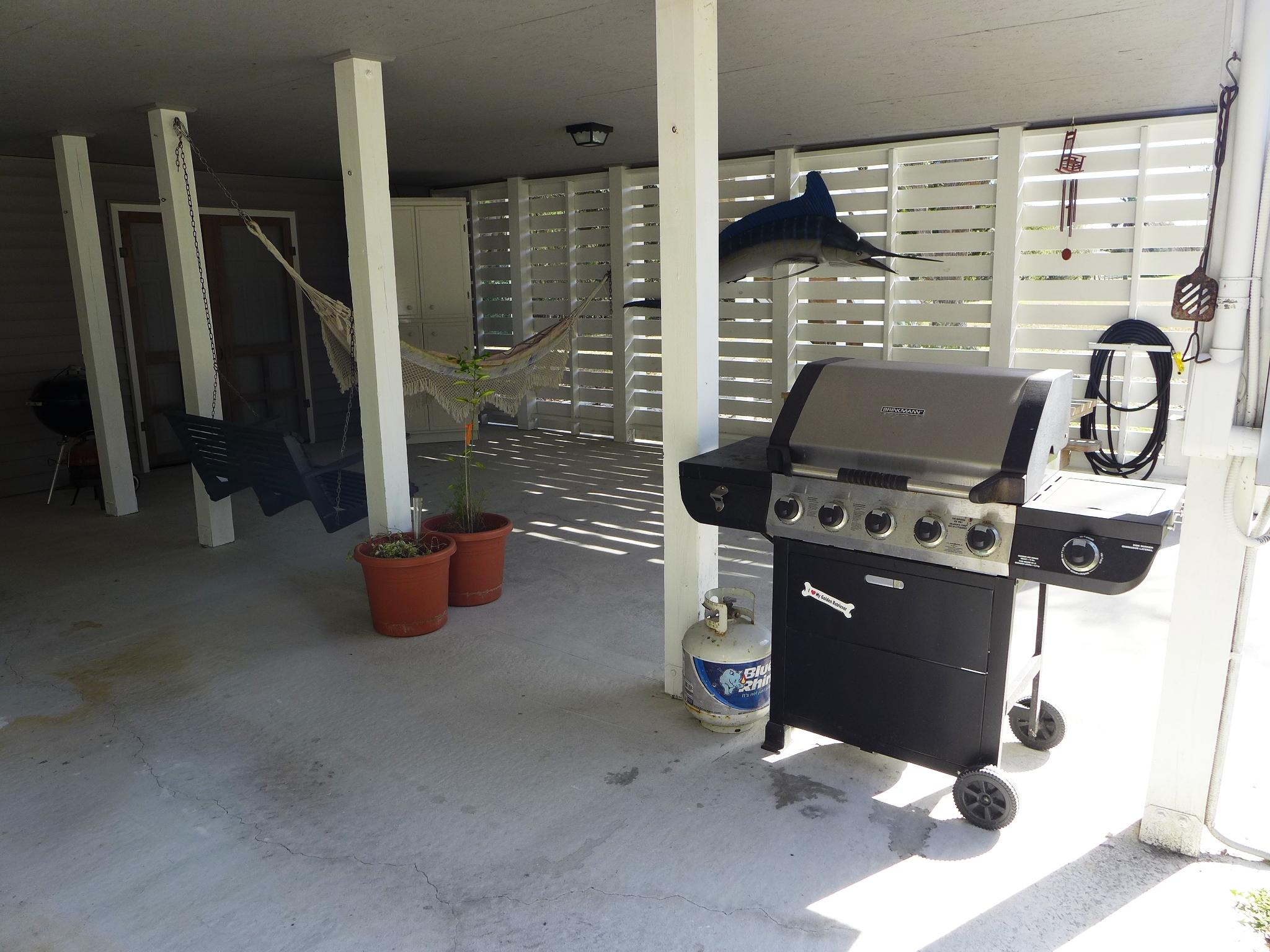 8276 Oyster Factory Road Edisto Island, SC 29438 - Photo 22 of 26 P1030135