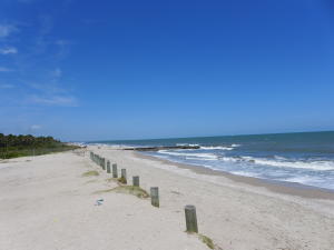 8276 Oyster Factory Road Edisto Island, SC 29438 - Photo 26 of 26 Edisto Beach