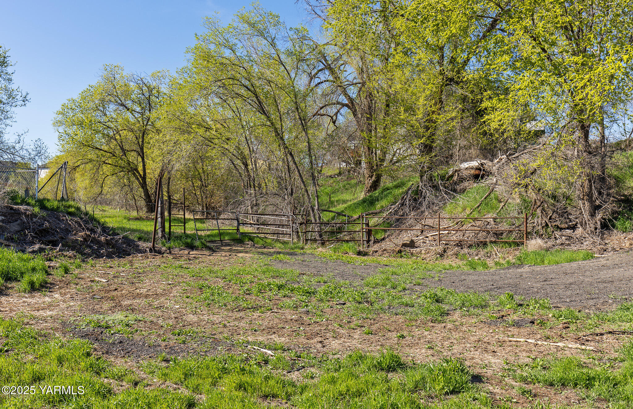980 Selah Loop Road Selah, WA 98942 - Photo 4 of 7 a view of backyard with green space