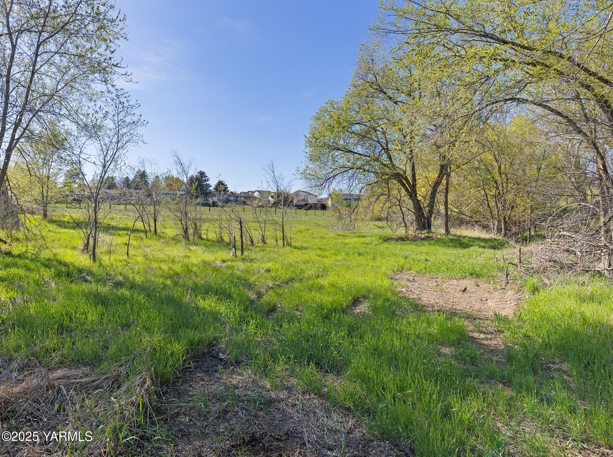 980 Selah Loop Road Selah, WA 98942 - Photo 6 of 7 a view of garden with trees