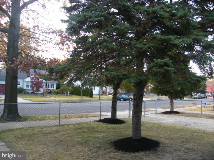 515 Lippincott Avenue Riverside, NJ 08075 - Photo 5 of 25 View from Front Door