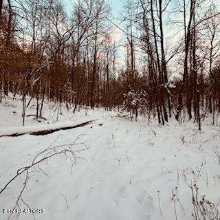 Wilderness Road Jonesville, VA 24263 - Photo 11 of 15 IMG_8064