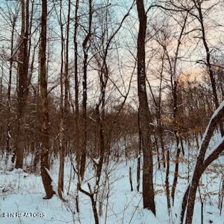 Wilderness Road Jonesville, VA 24263 - Photo 12 of 15 IMG_8059