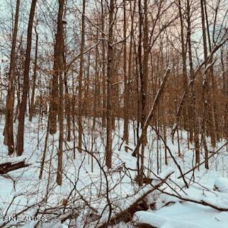 Wilderness Road Jonesville, VA 24263 - Photo 13 of 15 IMG_8061