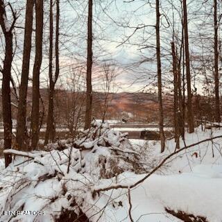 Wilderness Road Jonesville, VA 24263 - Photo 15 of 15 IMG_8063