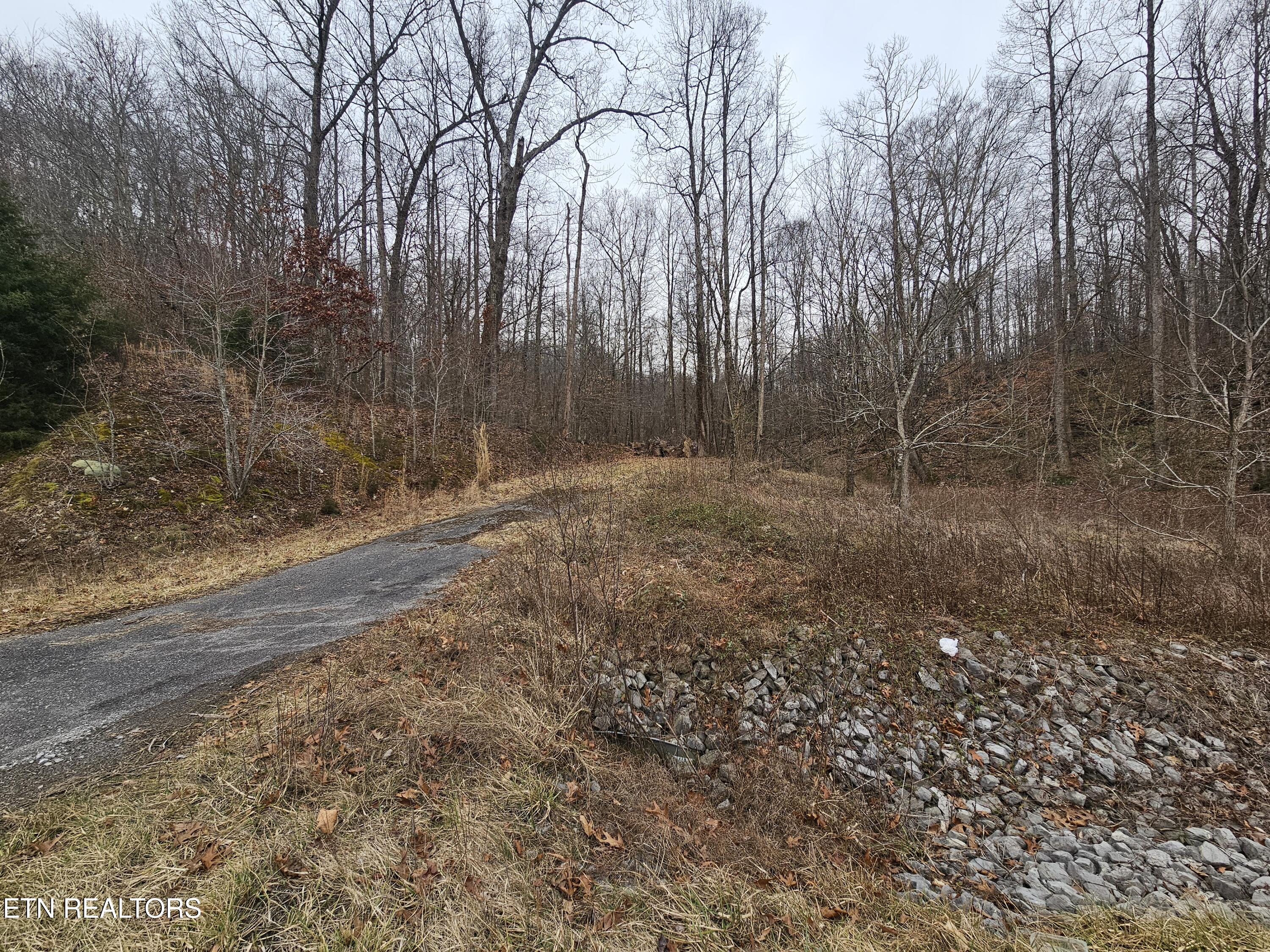 Wilderness Road Jonesville, VA 24263 - Photo 2 of 15 20260225_085625