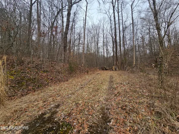 $40,000 | Wilderness Road, Jonesville, VA 24263