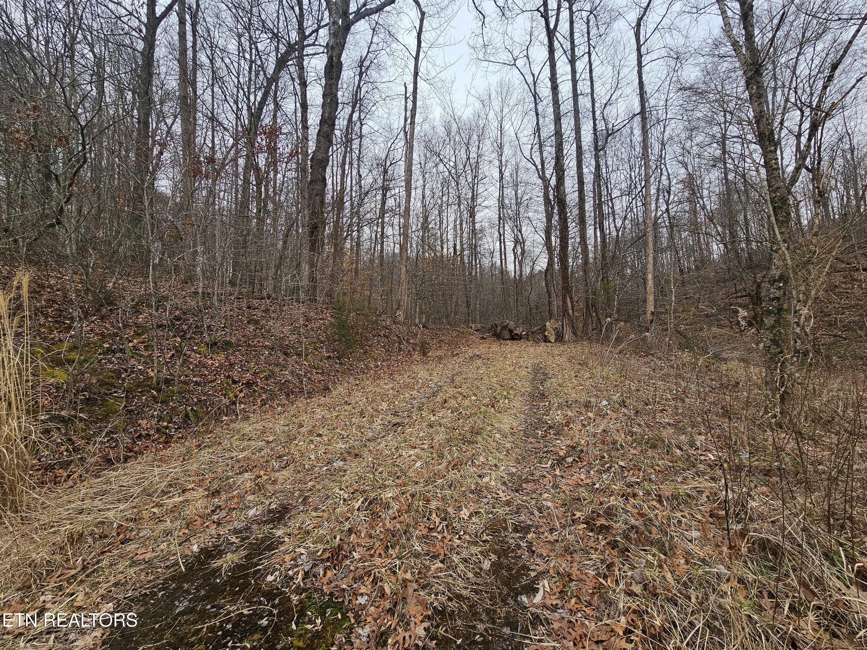 Wilderness Road Jonesville, VA 24263 - Photo 3 of 15 20260225_085502