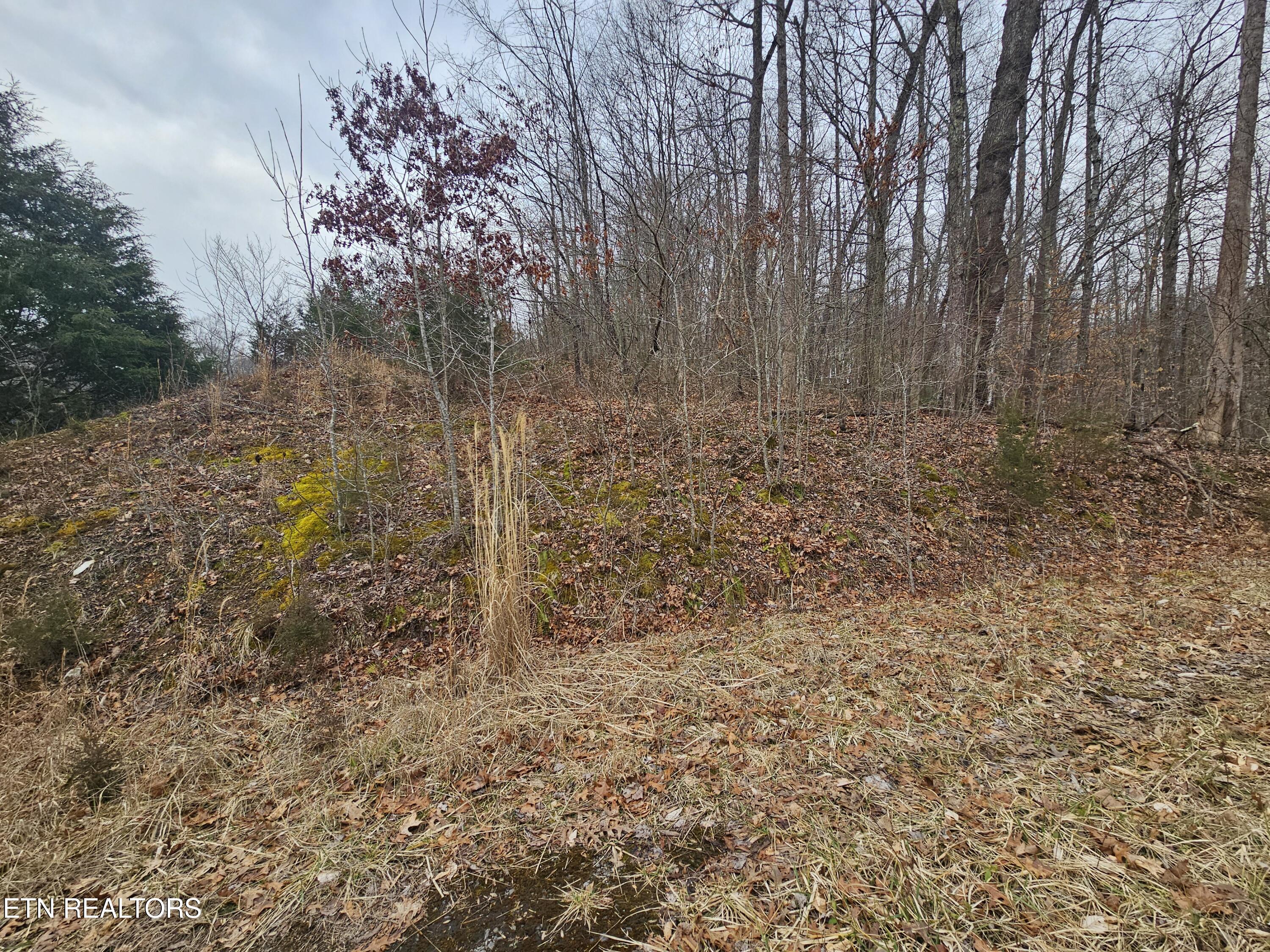 Wilderness Road Jonesville, VA 24263 - Photo 4 of 15 20260225_085455