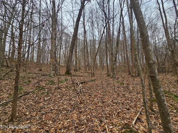 $40,000 | Wilderness Road, Jonesville, VA 24263