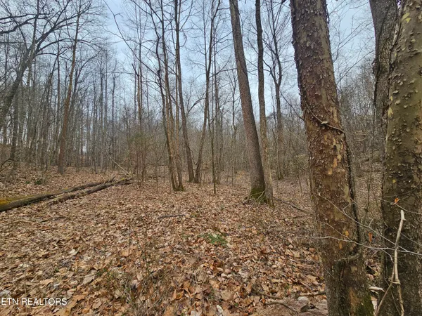 $40,000 | Wilderness Road, Jonesville, VA 24263