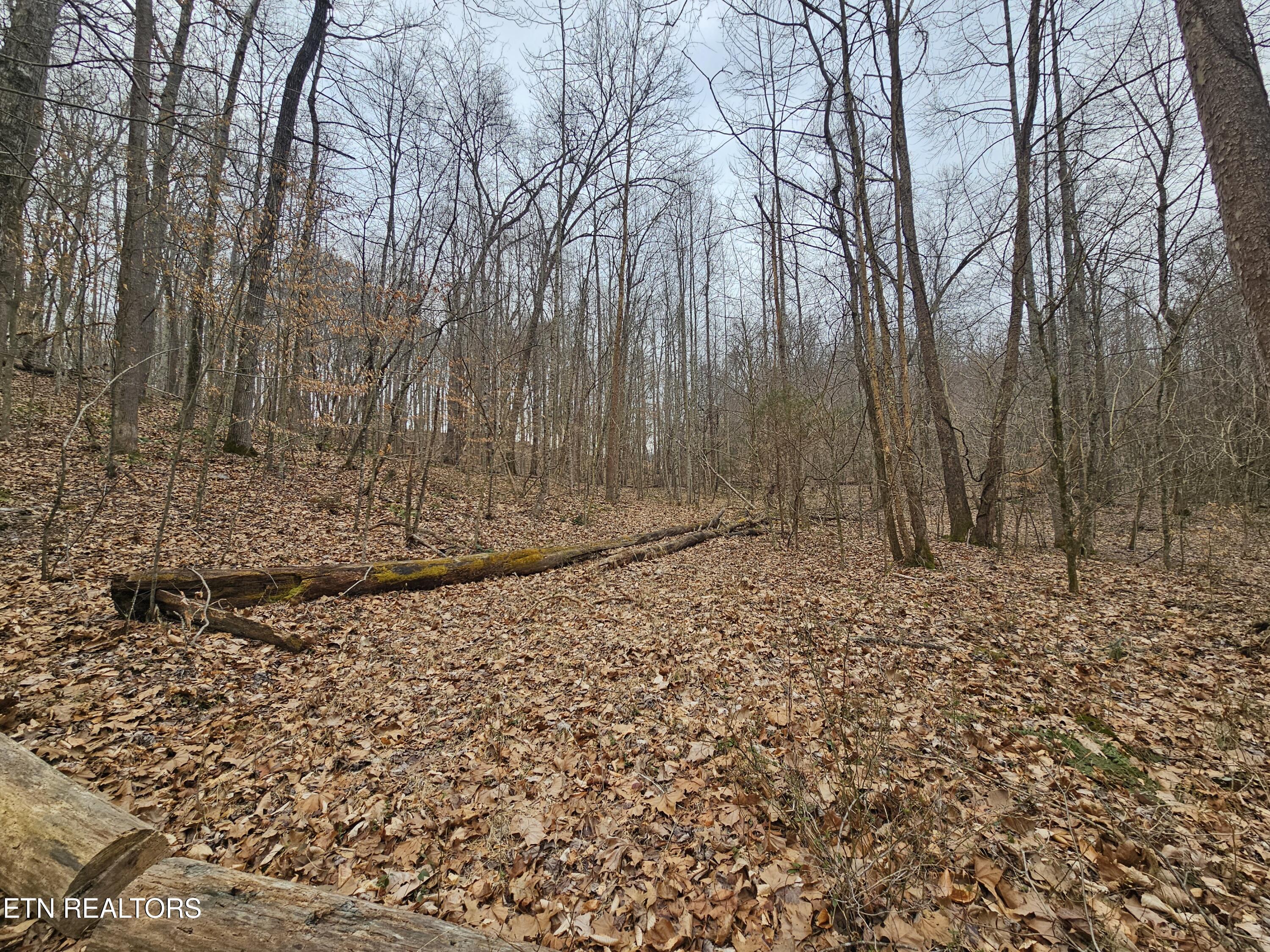 Wilderness Road Jonesville, VA 24263 - Photo 9 of 15 20260225_085139