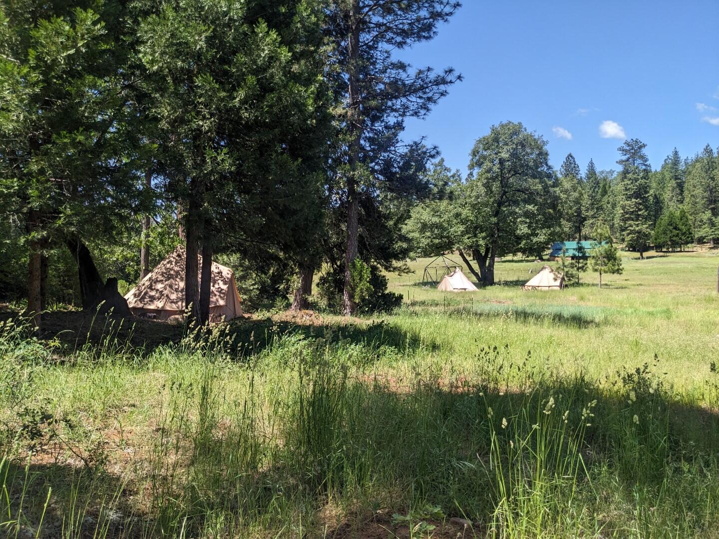 29276 Bullskin Ridge Road Oak Run, CA 96069 - Photo 94 of 113 BULLSKIN RIDGE RANCH