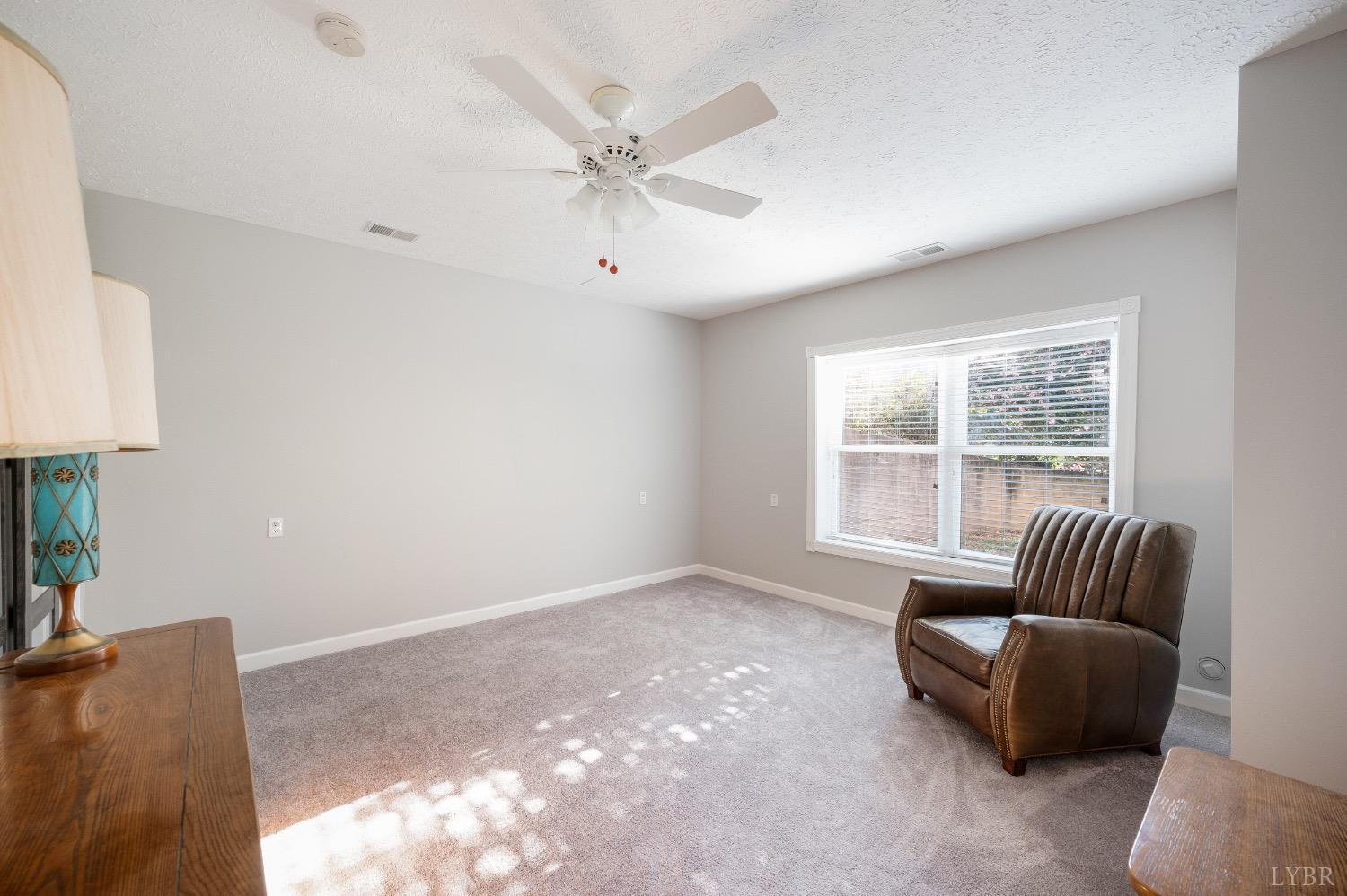 1740 White Road Forest, VA 24551 - Photo 53 of 57