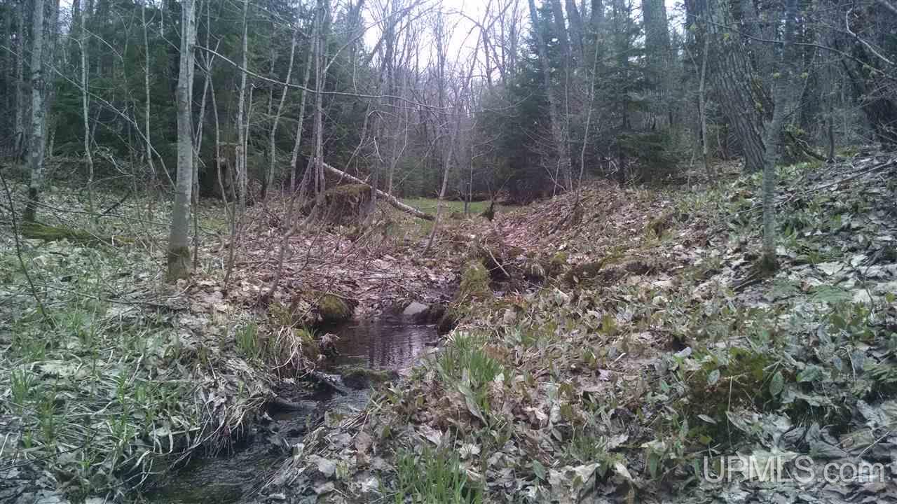 Tbd Tbd Off Hakkinen Road Lanse, MI 49946 - Photo 7 of 9