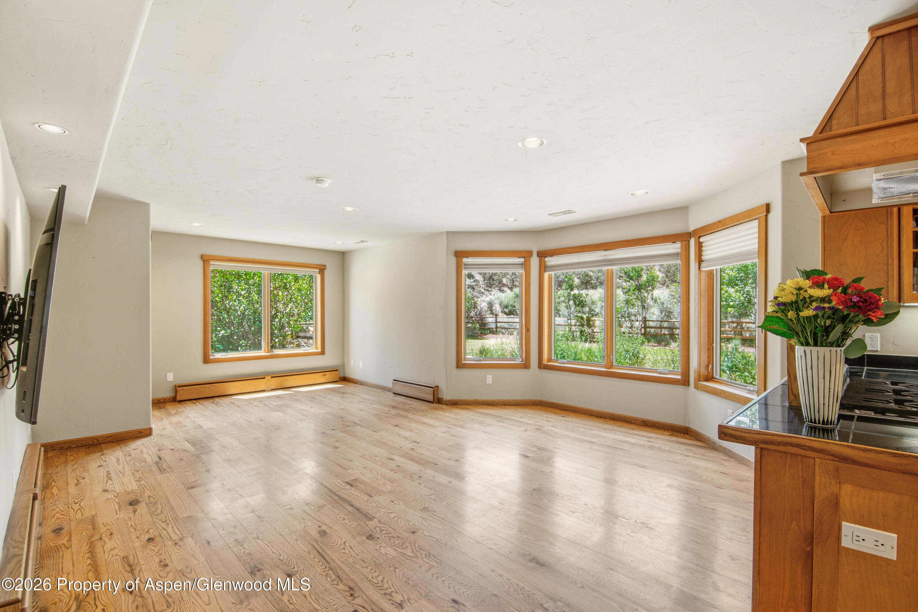 33 Iron Horse Road Carbondale, CO 81623 - Photo 5 of 16 second living space on first floor