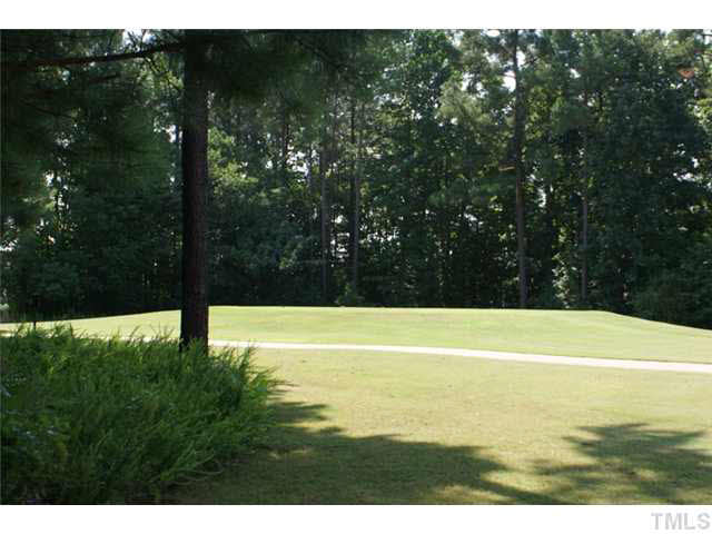 3413 Cathedral Bell Road Raleigh, NC 27614 - Photo 22 of 22 a view of an outdoor space and a yard