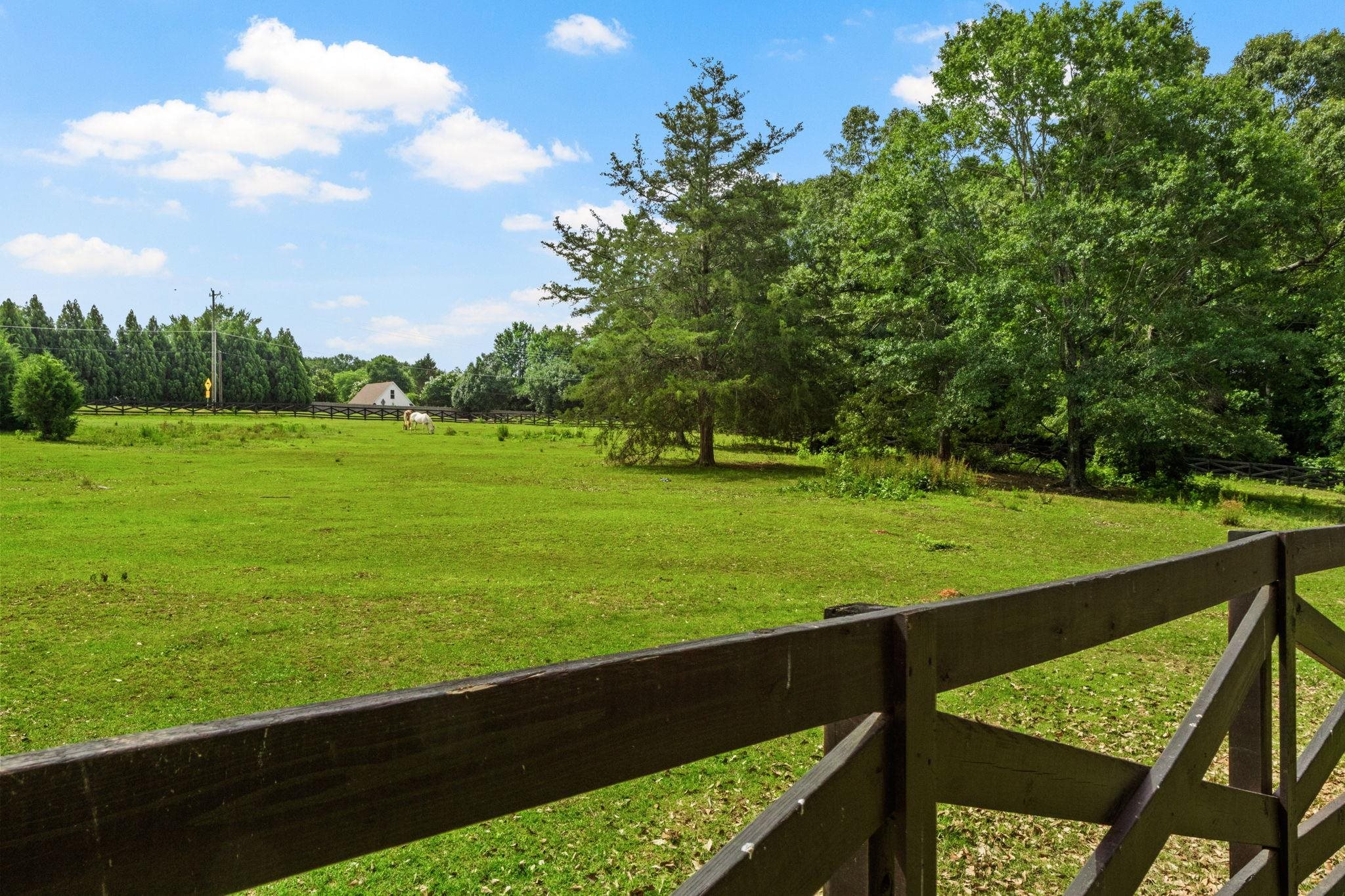 1035 Willis Road Spartanburg, SC 29301 - Photo 44 of 49