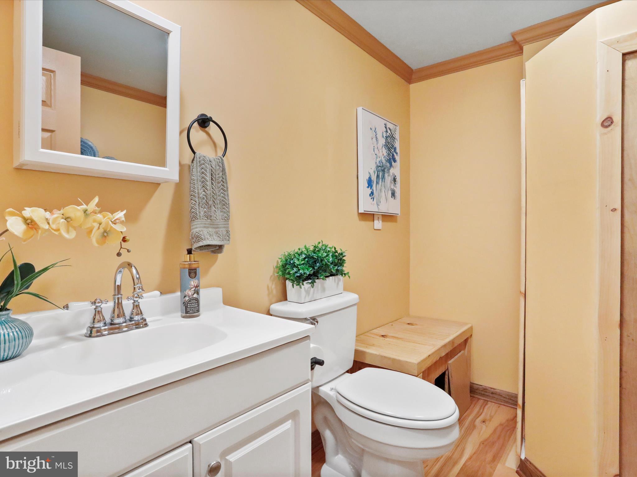 100 Stillwater Lane Berkeley Springs, WV 25411 - Photo 20 of 70 Half bath