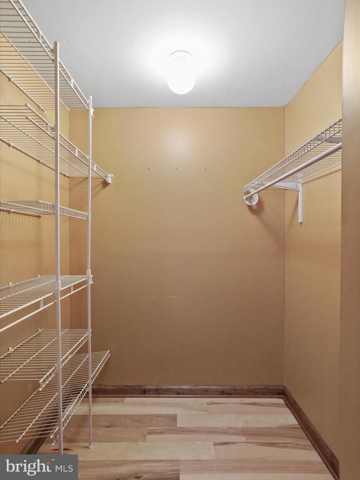 100 Stillwater Lane Berkeley Springs, WV 25411 - Photo 24 of 70 Bedroom closet