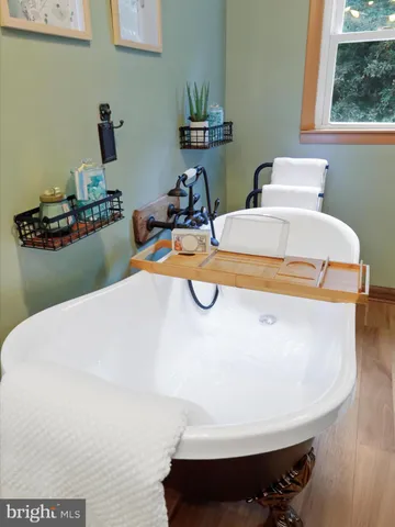 a view of a backyard with plants and trees