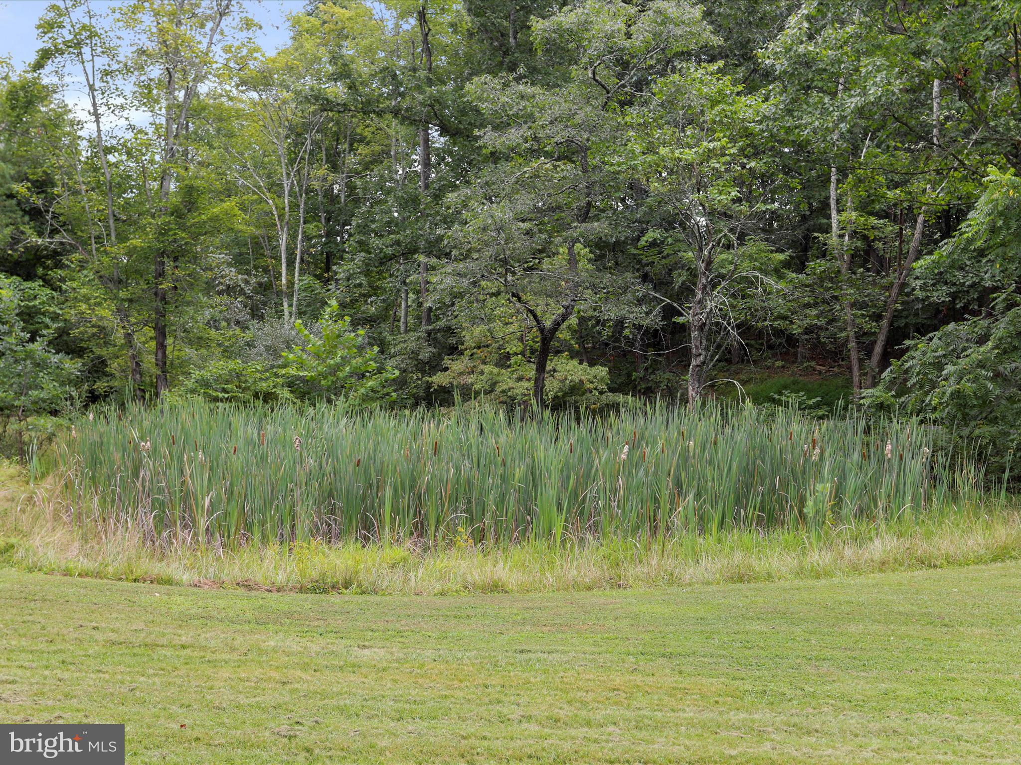 100 Stillwater Lane Berkeley Springs, WV 25411 - Photo 53 of 70 Pond