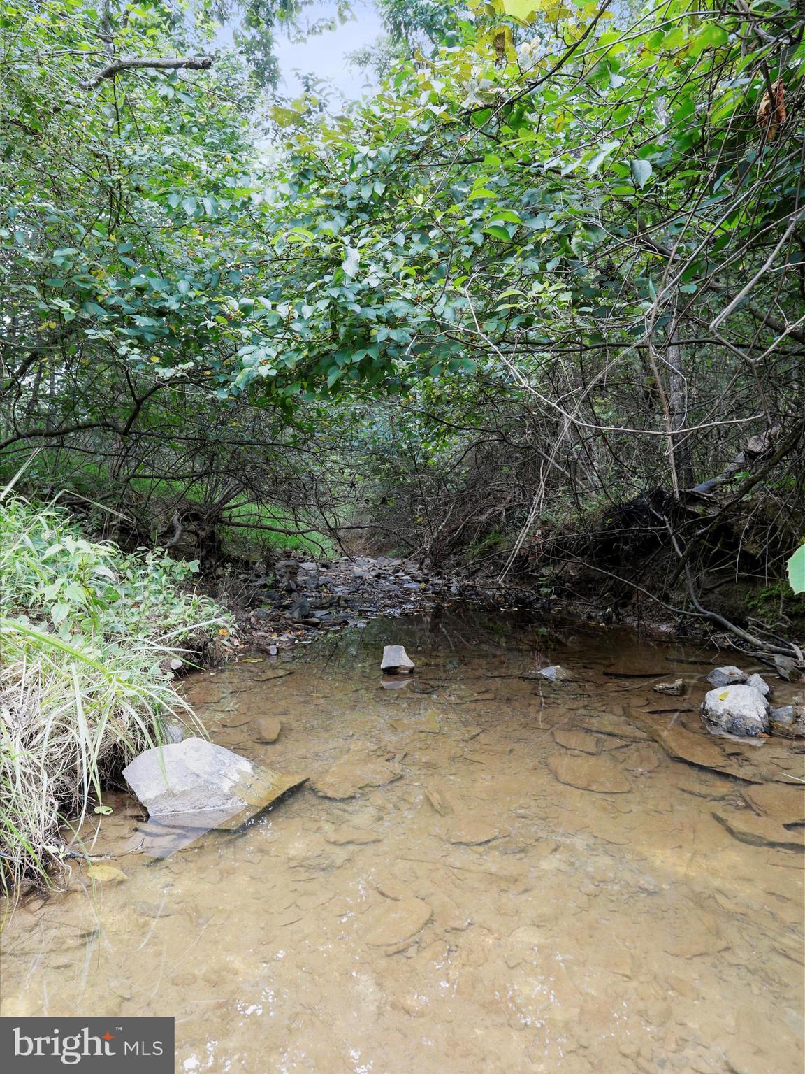100 Stillwater Lane Berkeley Springs, WV 25411 - Photo 54 of 70 Stream at the road entrance
