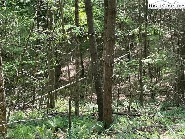 $29,900 | 55-57 Meadow Crest Drive, Jefferson, NC 28640