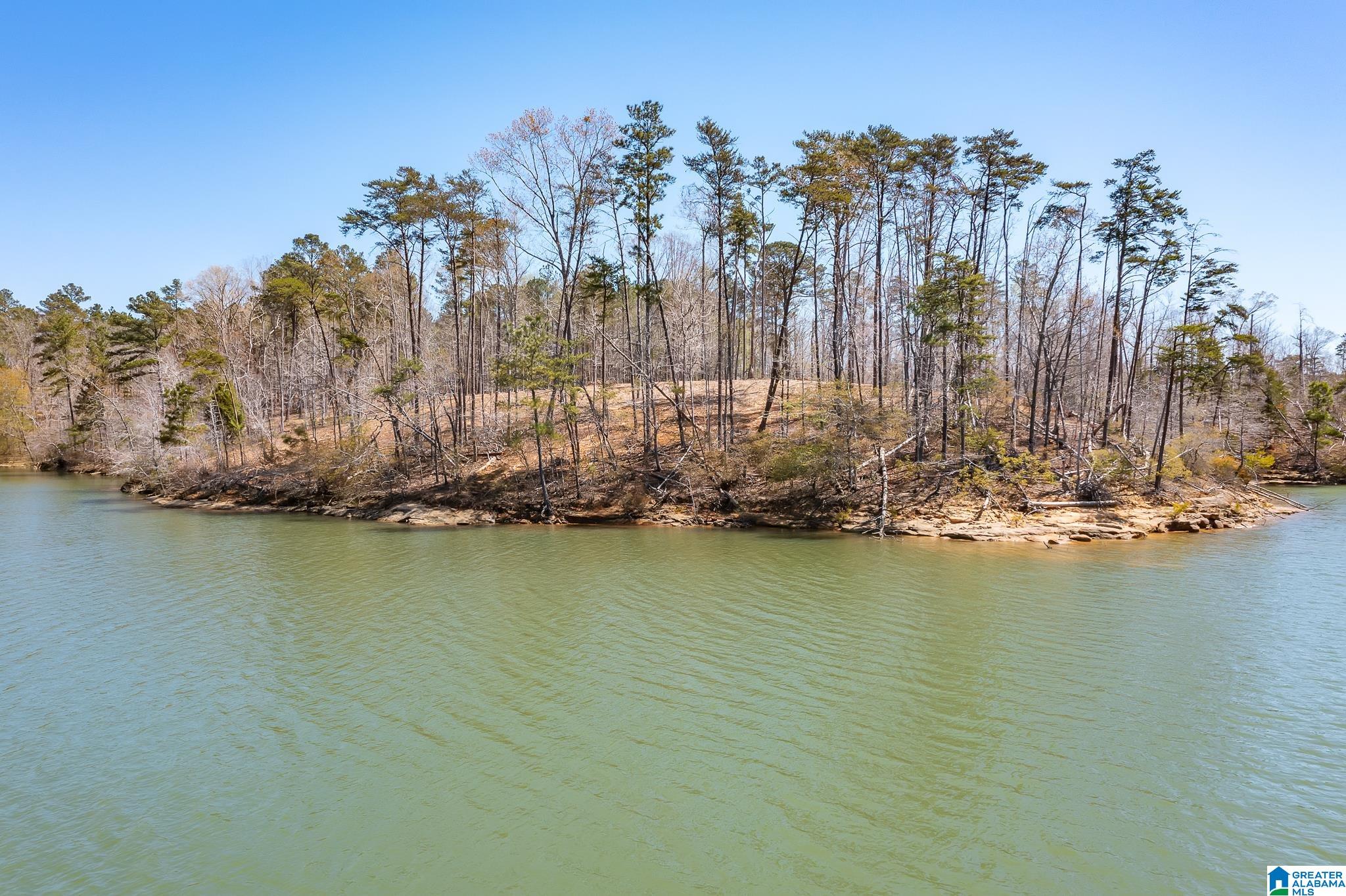 61 County Road, Unit 35 Houston, AL 35572 - Photo 5 of 6
