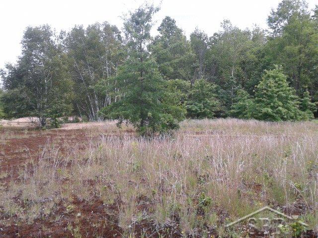 South Fowler Road Henderson, MI 48841 - Photo 5 of 8 31326075-4.JPG