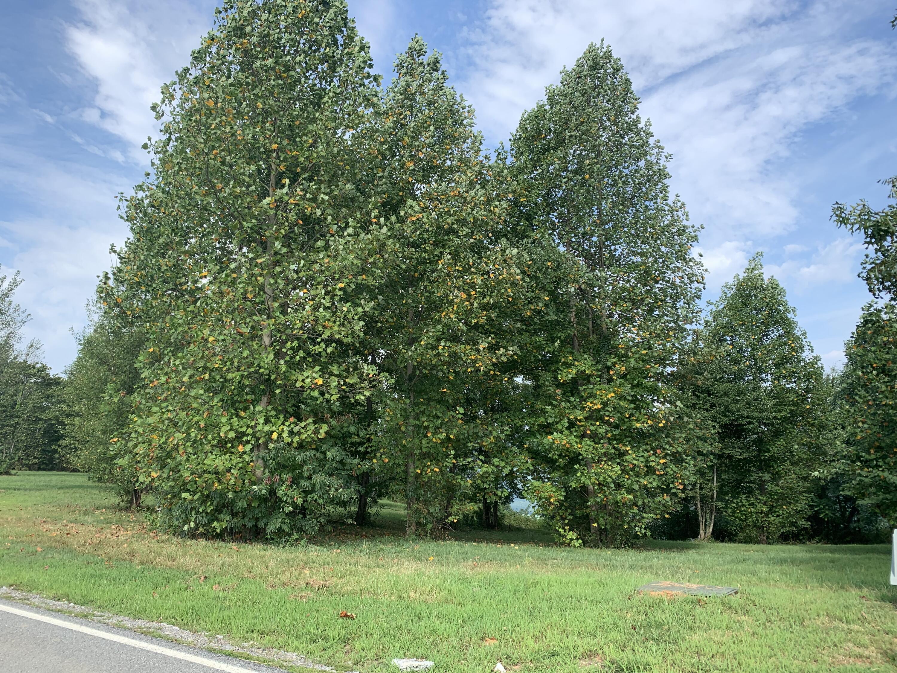 755 Sunset Circle, Unit SV109 Jasper, TN 37347 - Photo 14 of 48 11A993C4-2C1C-443D-90F0-4BD13BFDB8EC