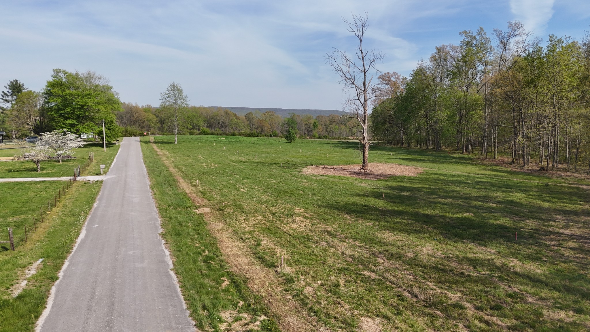 0 Bob Meadows Road Manchester, TN 37355 - Photo 4 of 5