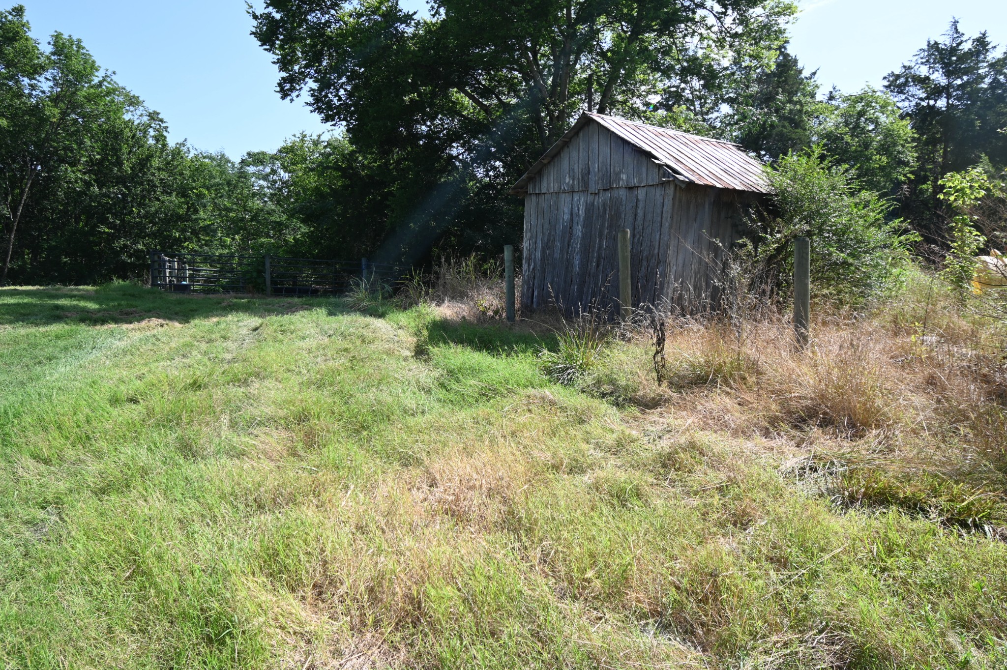 0 Culps Bend Road Clifton, TN 38425 - Photo 38 of 41