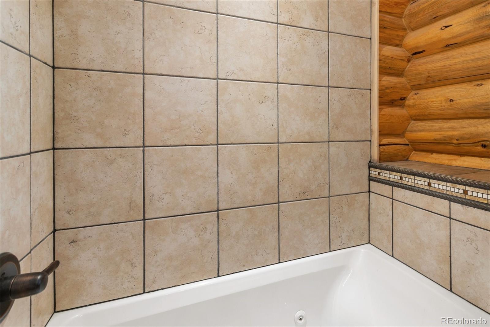 111 Blue Spruce Road Divide, CO 80814 - Photo 29 of 46 a bathroom with a shower