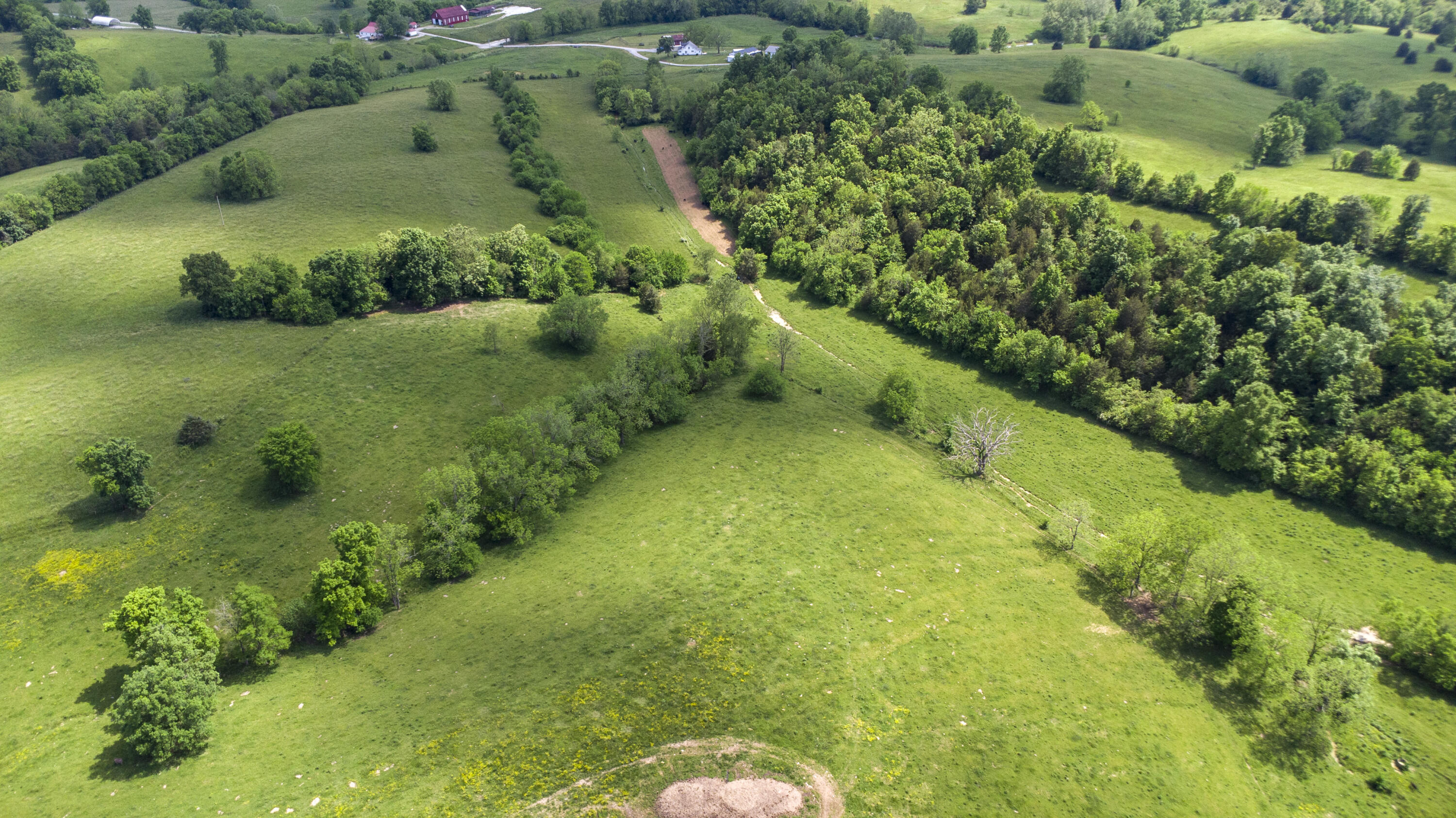 850 West Gardner Road Cynthiana, KY 41031 - Photo 27 of 45