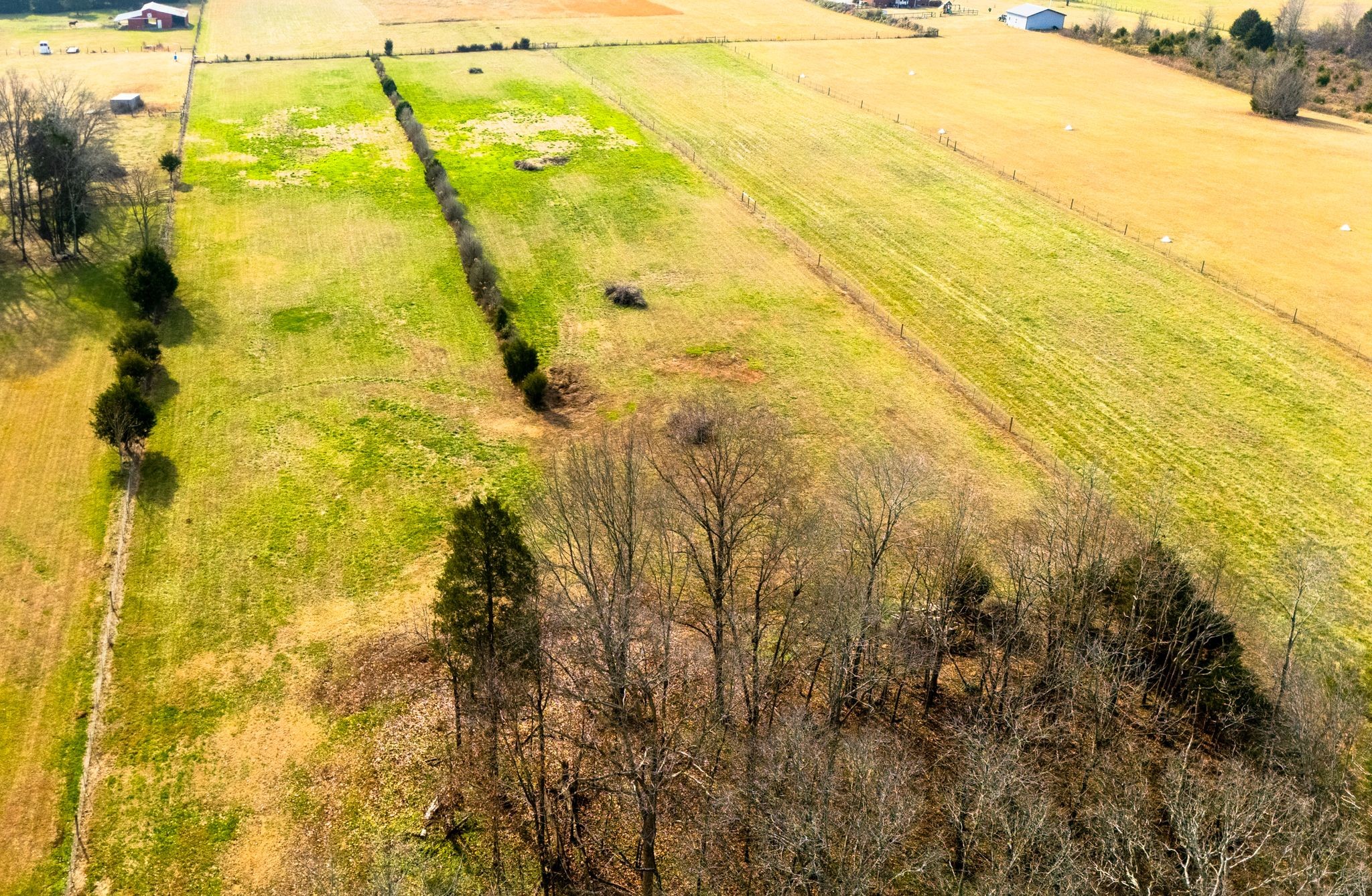 1993 Egypt Road Chapel Hill, TN 37034 - Photo 79 of 79