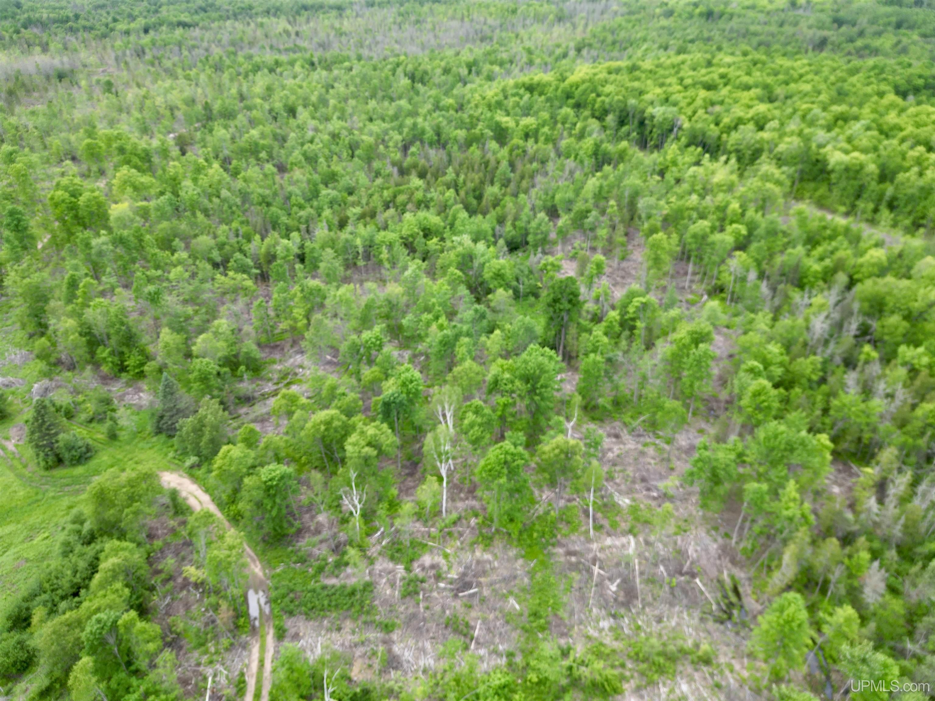 3601 Cr444 Road Rock, MI 49880 - Photo 54 of 78