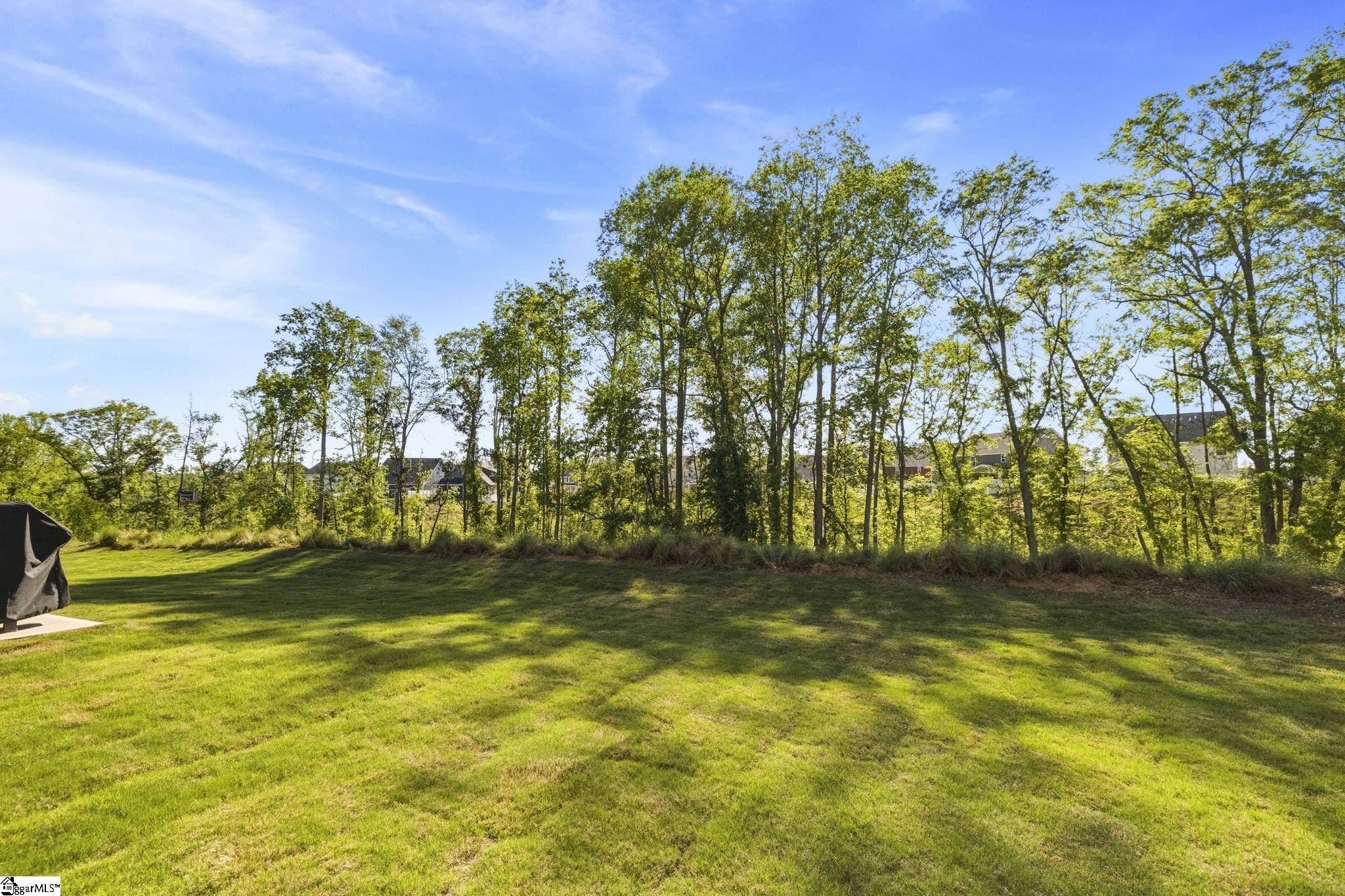 141 Yearling Drive Fountain Inn, SC 29644 - Photo 41 of 49