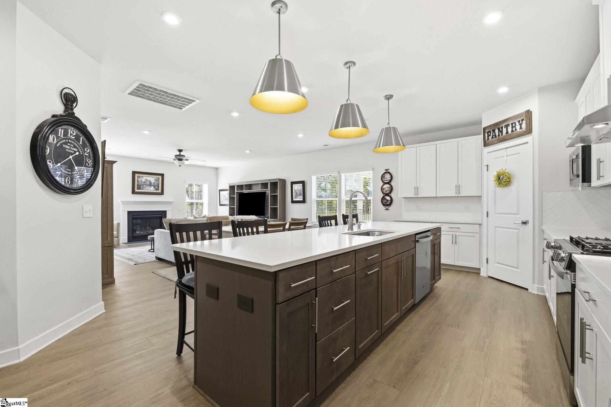 141 Yearling Drive Fountain Inn, SC 29644 - Photo 5 of 49