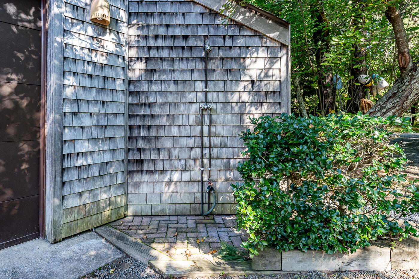 256 Browns Neck Road Wellfleet, MA 02667 - Photo 54 of 66 a backyard of a house with lots of green space