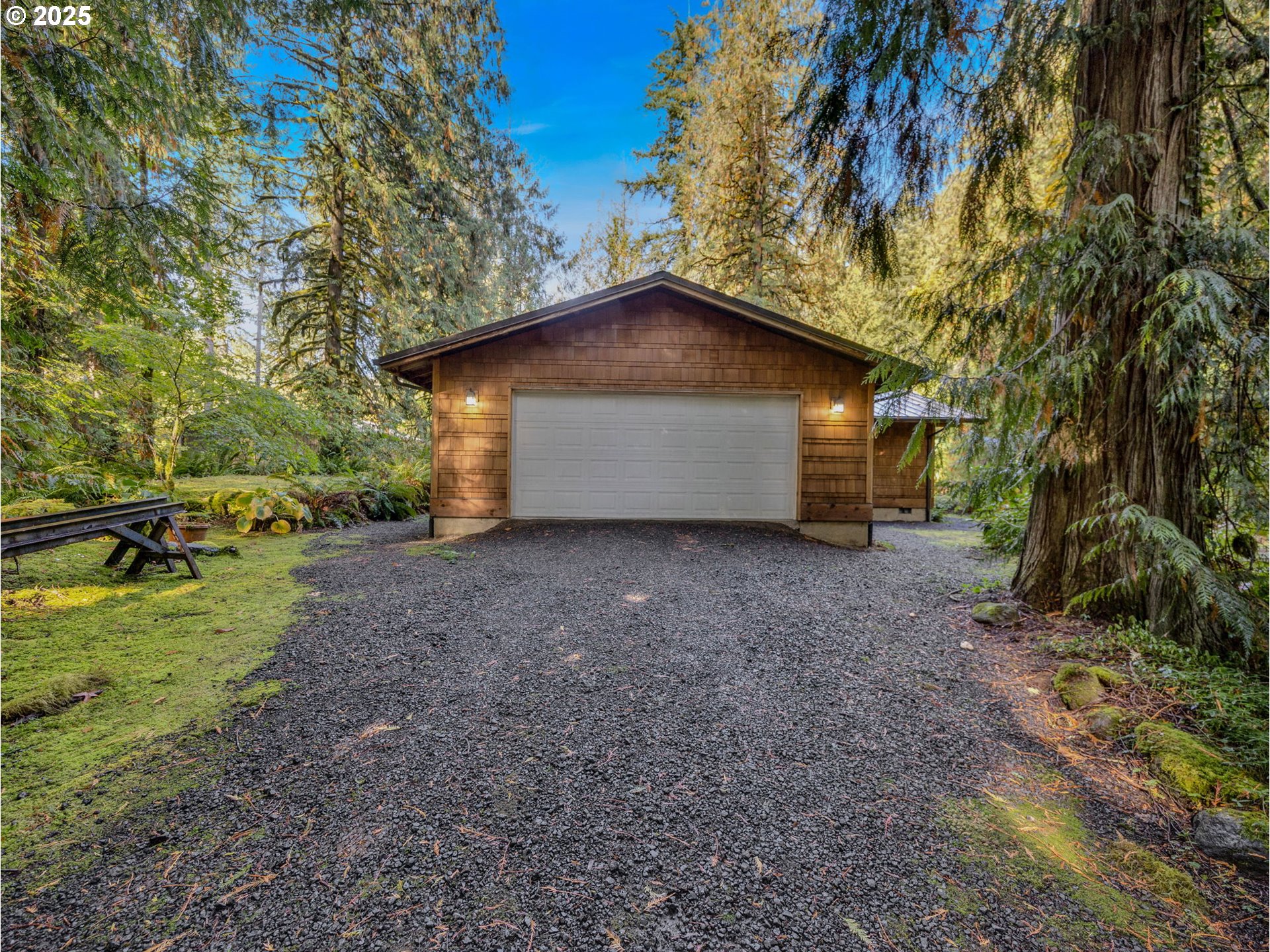 64079 East Barlow Trail Road Rhododendron, OR 97049 - Photo 45 of 48 a view of a backyard with large trees